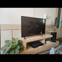 تلویزیون 43in