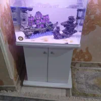 آکواریوم با وسایل