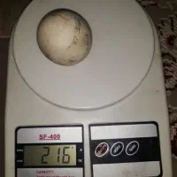 فروش ۲قطعه شهاب سنگ وسنگ الماس اسیاب|جواهرات|تهران, دروازه شمیران|دیوار