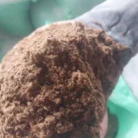 کنجاله دانه های روغنی|خوردنی و آشامیدنی|ری, شهرری|دیوار