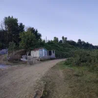 اجاره استخر ماهی ۳ هکتار برجاده /سوددهی عا،لی|فروش دفتر صنعتی، کشاورزی، تجاری|شفت, |دیوار