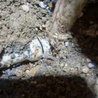 تعمیرات لوله کشی نشت یابی لوله بازکنی