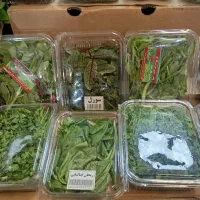 انواع سبزیجات ایرانی وفرنگی|خوردنی و آشامیدنی|تهران, سردارجنگل|دیوار