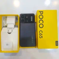 شیامی پوکوc65