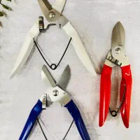 قیچی قند قند شکن|ابزارآلات|اصفهان, جنیران (لادان)|دیوار