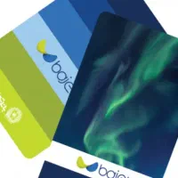 ضامنت باجت میکنم