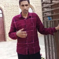 فروشنده قارچ به صورت عمده فروشی