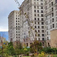 رونیکاپلاس-الماس-امتیاز-آتش-نشانی-دیوان-فراجا-سپاه