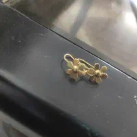 گوشواره بچه گانه|جواهرات|زنجان, |دیوار