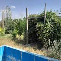 باغچه آماده درختان میوه ۷ ساله منطقه ۱۸ تهران|فروش زمین و ملک کلنگی|تهران, شهرک دریا|دیوار