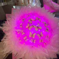 بوکت پروانه