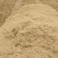 کاه کومپاین