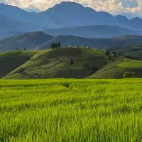 زمین سنددار۲۰۰متری مرودشت معاوضه بااپارتمان شیراز