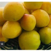 فروش باغ منطقه کوهستانی و پر آب طینوج -دستجرد|فروش زمین و ملک کلنگی|قم, صفائیه|دیوار