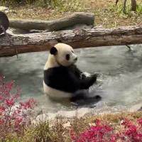 پرواز خارجی تور وان  خروج از کشور