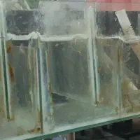 تاپ سامپ پنج مرحله ای