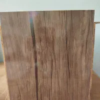 لانه عروس هلندی|لوازم جانبی حیوانات|مرودشت, مسجد رسول‎|دیوار