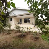 ۴۵۰۰متر خانه محوطه سندتک برگ از درختان مرکبات|فروش خانه و ویلا|کوچصفهان, |دیوار