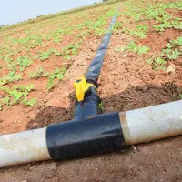 لوله نخدار،اتصالات،نوارتیپ
