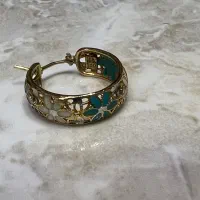 گوشواره گم شده