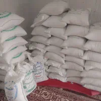 برنج درجه یک شمال