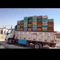 محصولات ارگانیک روستا عسل کره و پنیر تبریز|خوردنی و آشامیدنی|تهران, آذربایجان|دیوار