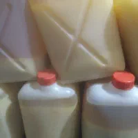 روغن دامی تازه