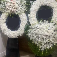 تاج گل نو قیمت توافقی