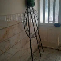 پایه گل|گل و گیاه طبیعی|تهران, شکوفه|دیوار