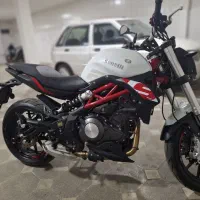 بنلی ۳۰۰ جفت خشک