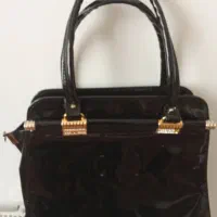 کیف مجلسی