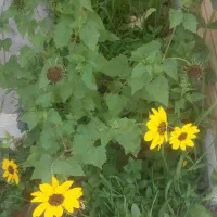 راهنمایی اوقات فراغت