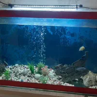 فروش اکواریوم با تجهیزات جانبی