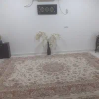 نظافت منزل