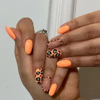 تخفیف 40درصدی کاشت ژلیش