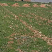 ۲۰۰مترزمین مسکونی کلواری علیا