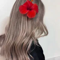 ارایه جدیدترین خدمات رنگمو تخصصی و اموزش