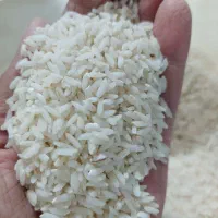 برنج محلی علی کاظمی موجود ه|خوردنی و آشامیدنی|زاغه, |دیوار