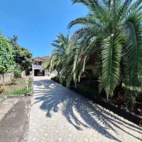 خونه-باغ-روستایی-جنگلی-با-سند