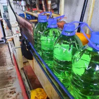 نیروی کار ساده