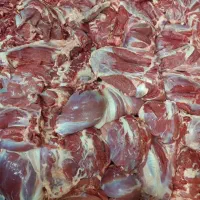 فروش عمده و جزیی گوشت بره.گوساله و گوسفندی|عمده‌فروشی|اصفهان, دشتستان|دیوار