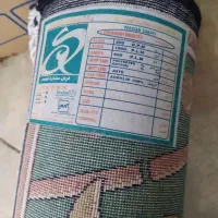 فرش اطاق کودک|فرش|قم, امامزاده ابراهیم|دیوار