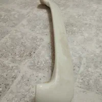 بال عقب تیبا دو