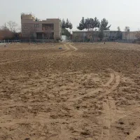 پانسیون اسب