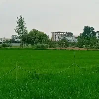 ۱۷۲ متر زمین شهرک ،اقساطی|فروش زمین و ملک کلنگی|آستانه سرا, |دیوار