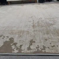 فرش قالی سلیمان|فرش|گنبد کاووس, |دیوار