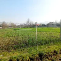 شالیزارسنتی-5هزارمتررشت