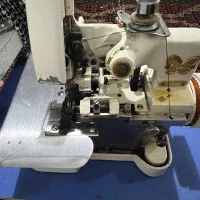 سردوز پروانه سفید