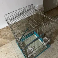قفس پرنده و طوطی