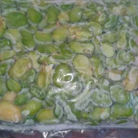 ترشی